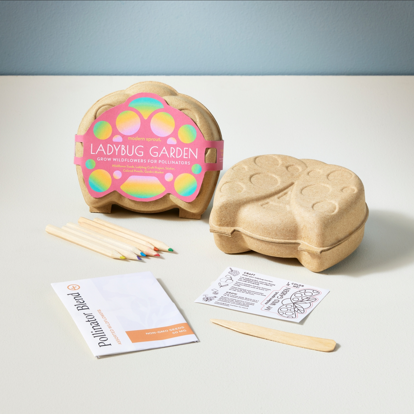 Curious Critters Activity Kit