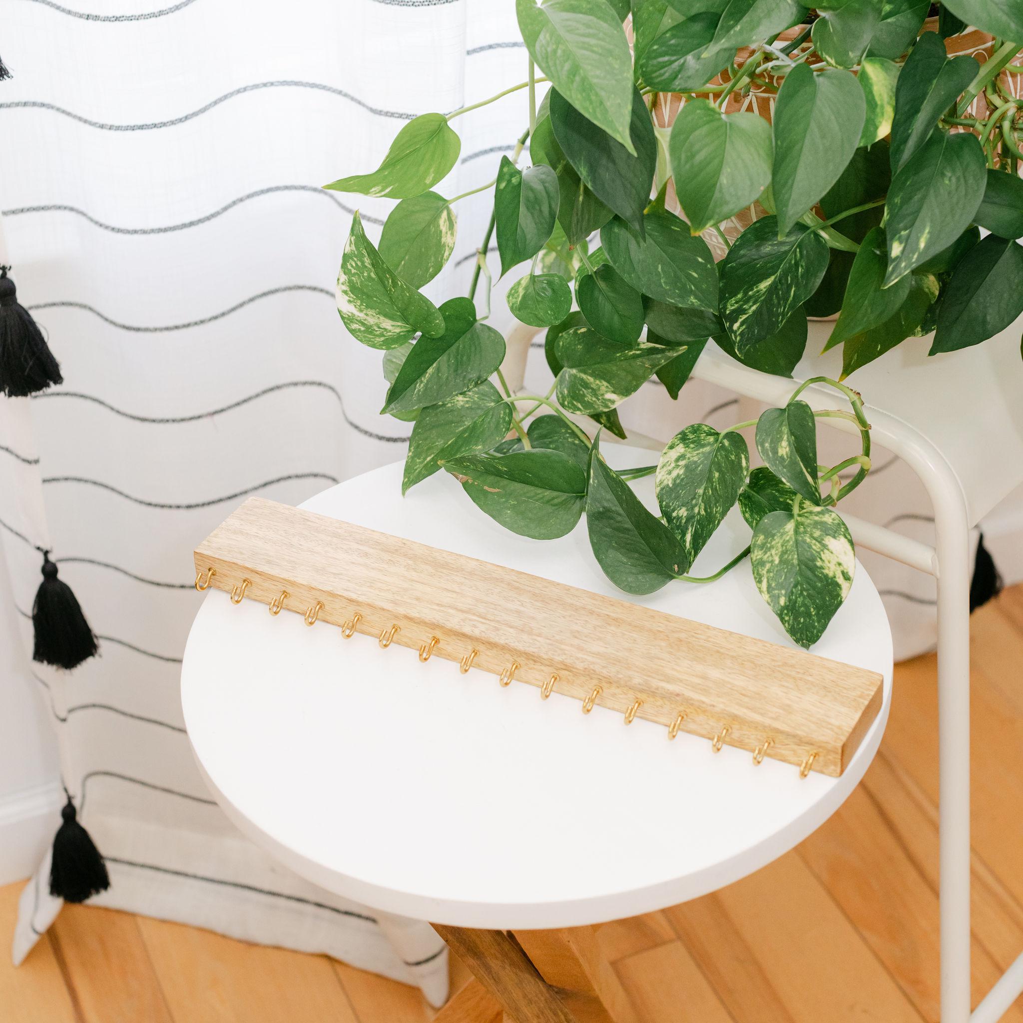 For the Earring Lover