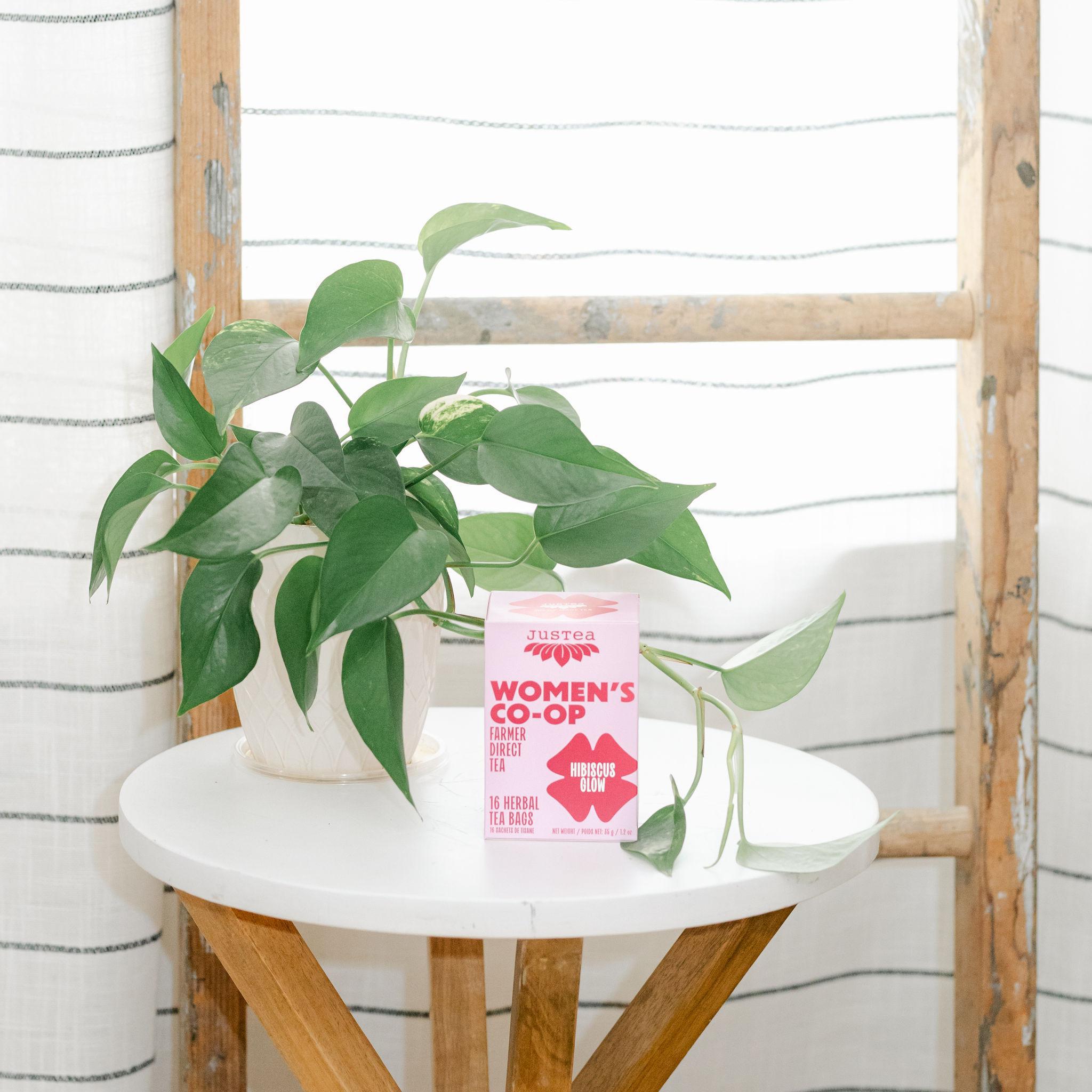 Plant on a small round table with a &