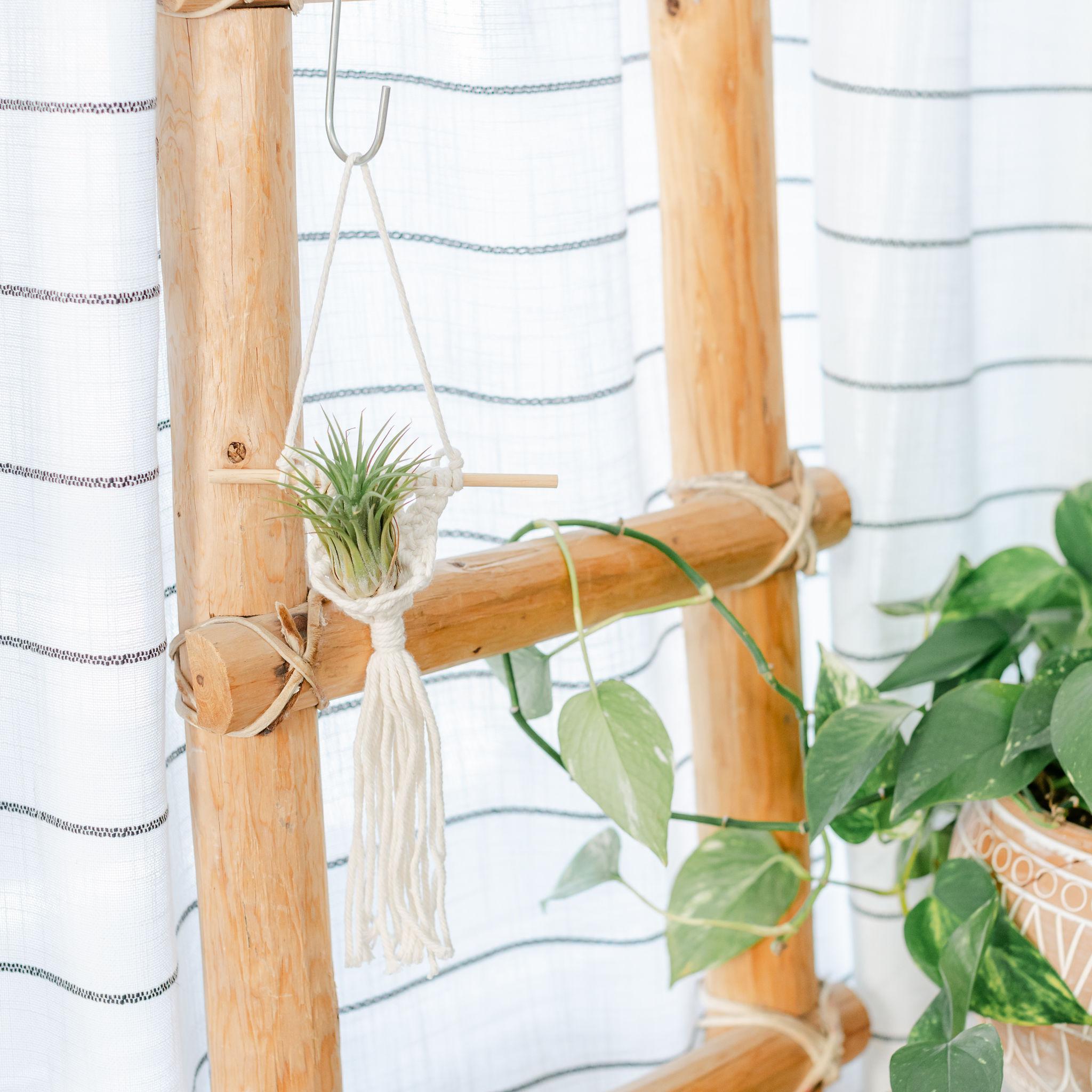A small macrame plant hanger hanging from a wooden ring, displayed against a indoor setting with a ladder and greenery.