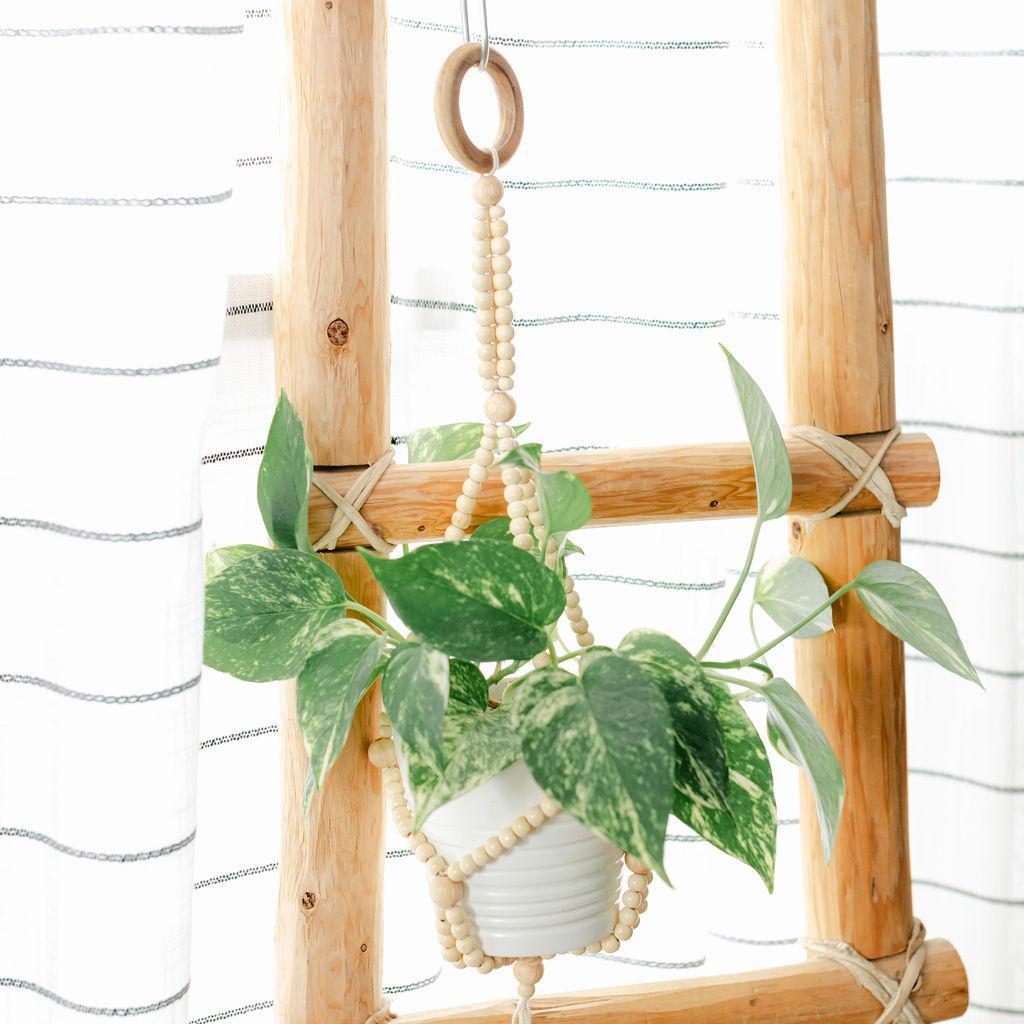 A plant displayed in a wooden beaded plant hanger hanging from a ladder