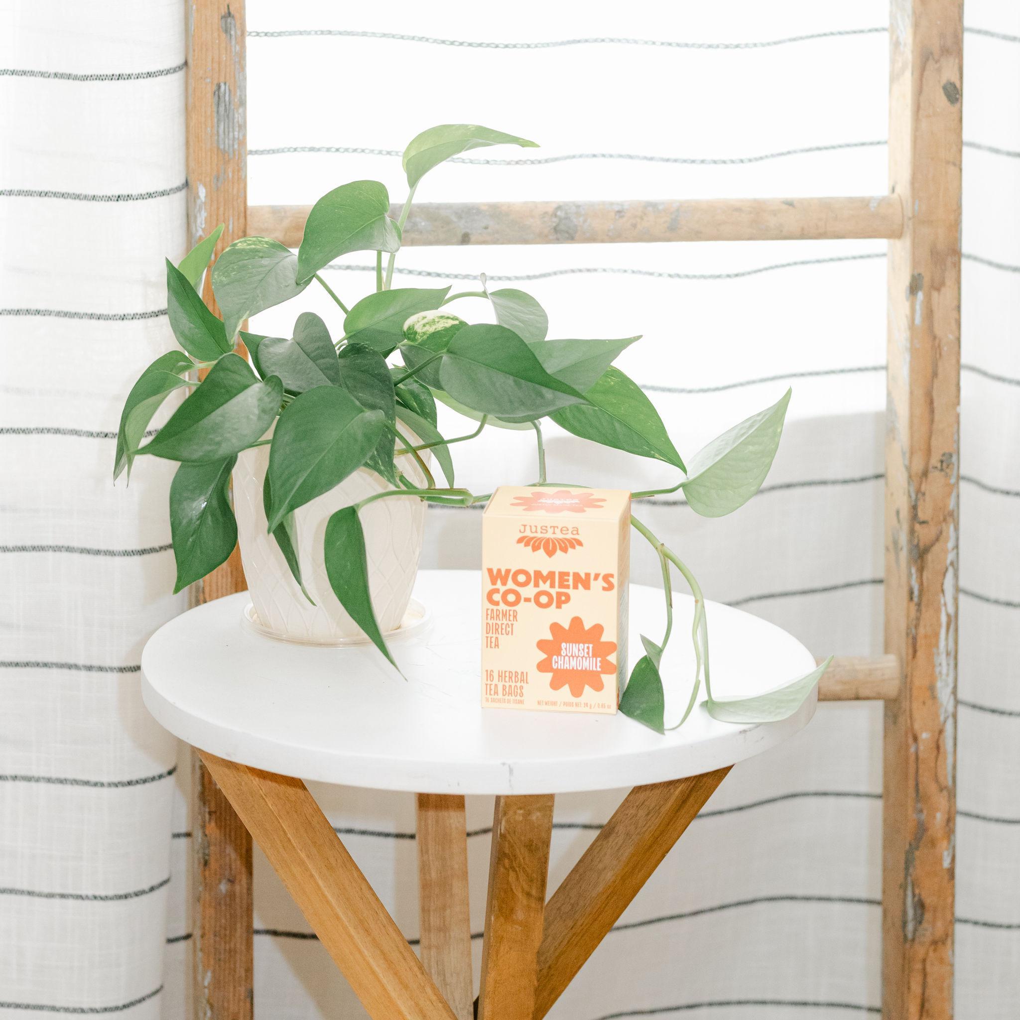 Potted plant on a small round table with a box of tea labeled &