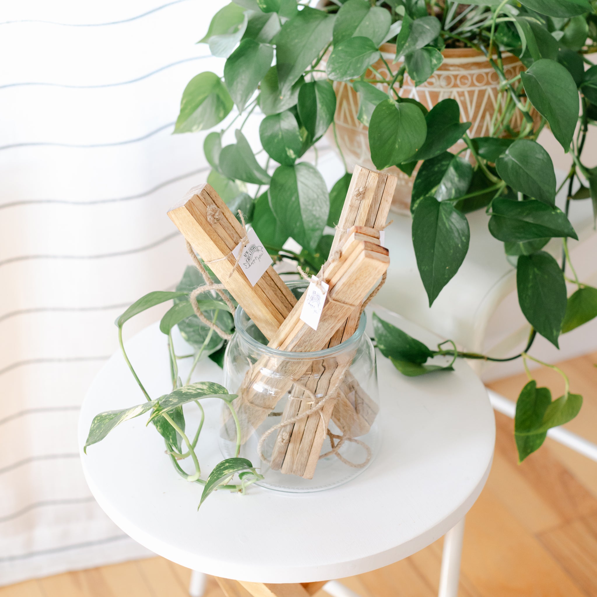 Three wooden magnetic picture frames in a jar with a plant in the background