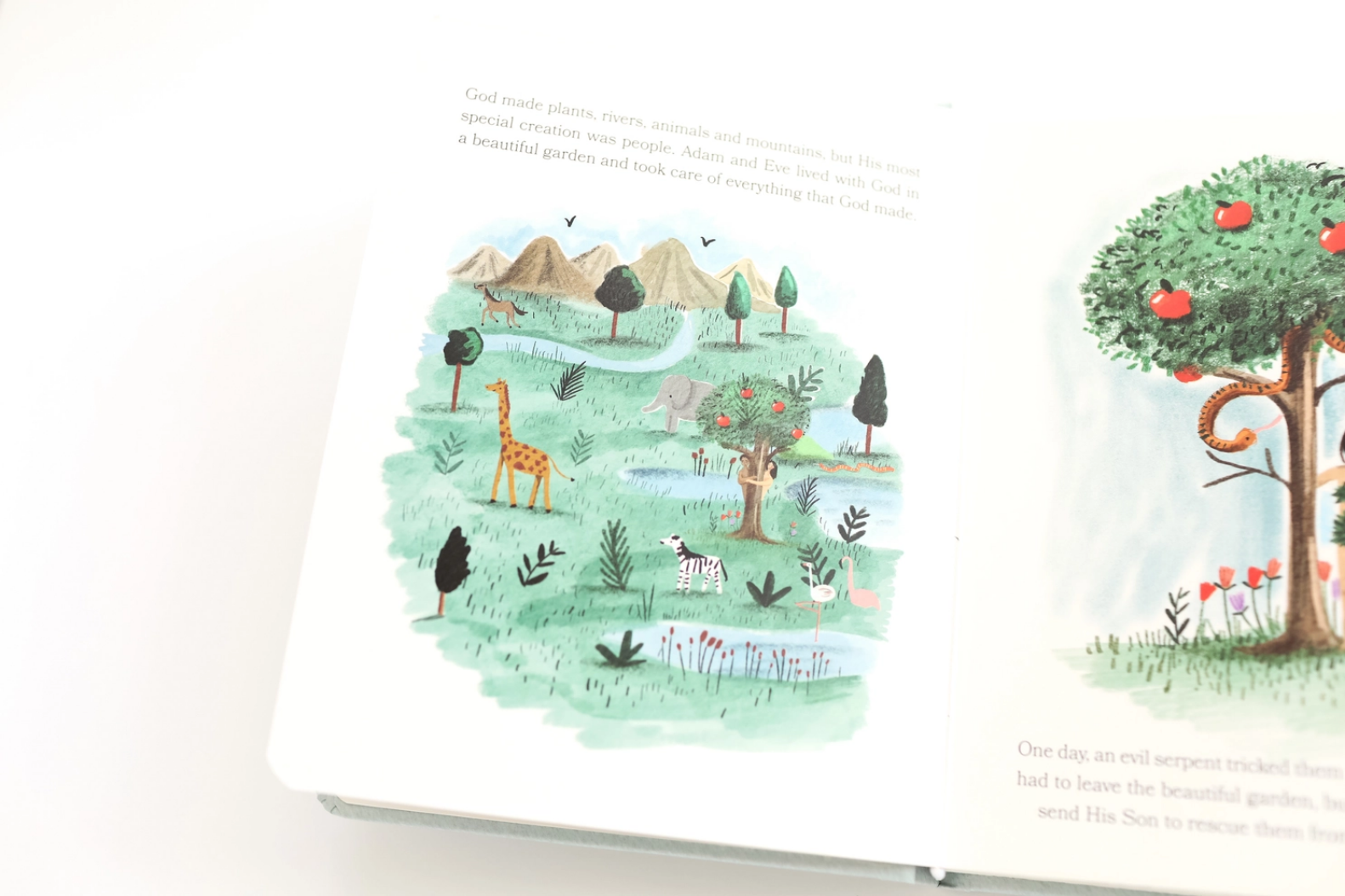 Bible Stories for Little Ones: Baby&