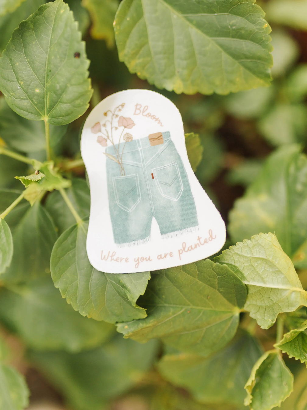 Bloom Sticker