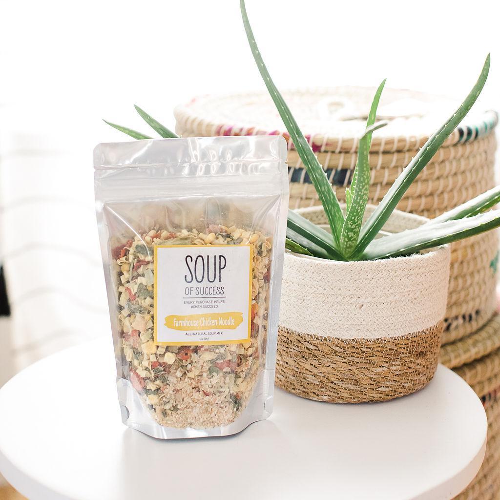 Packaged chicken noodle soup mix placed on a table with a potted plant in the background, indicating the product is a culinary soup mix by the brand Soup of Success.