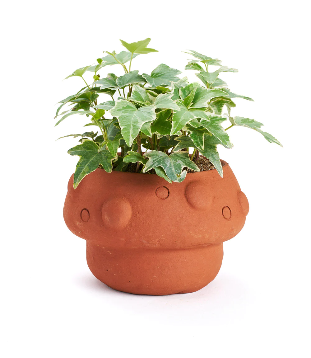 Mushroom Plant Pot