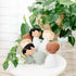 A bundle of small stuffed dolls in a basket on a white table with a plant in the background