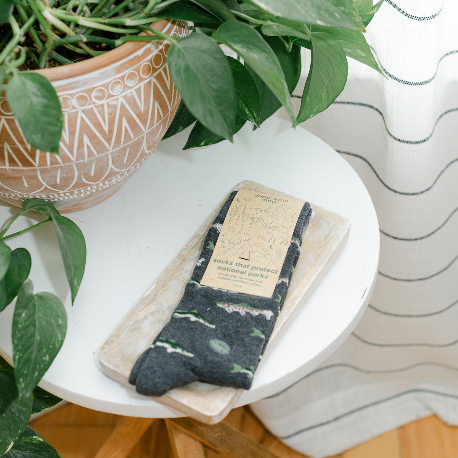 Protect National Parks Socks