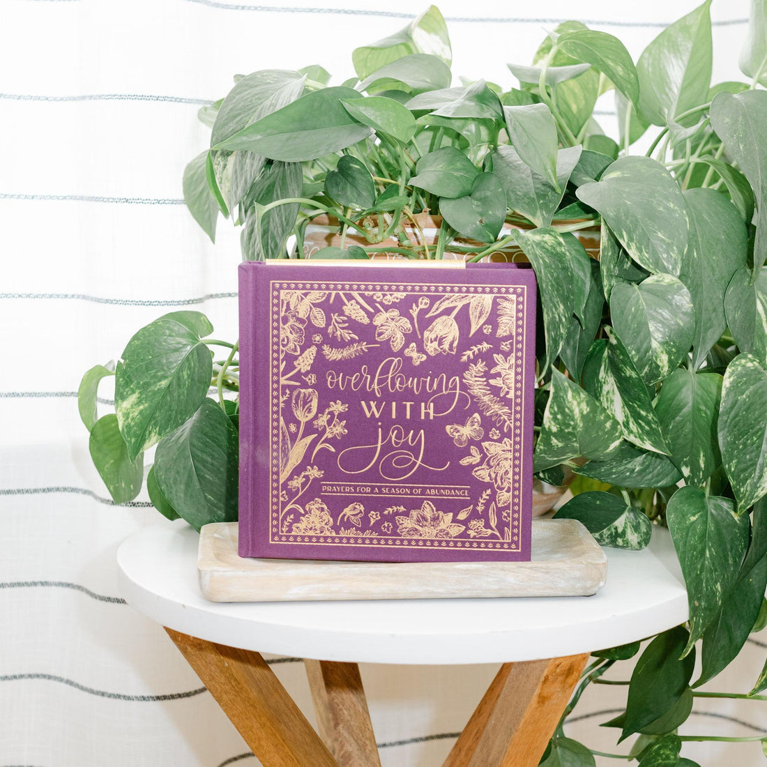 Purple book titled &