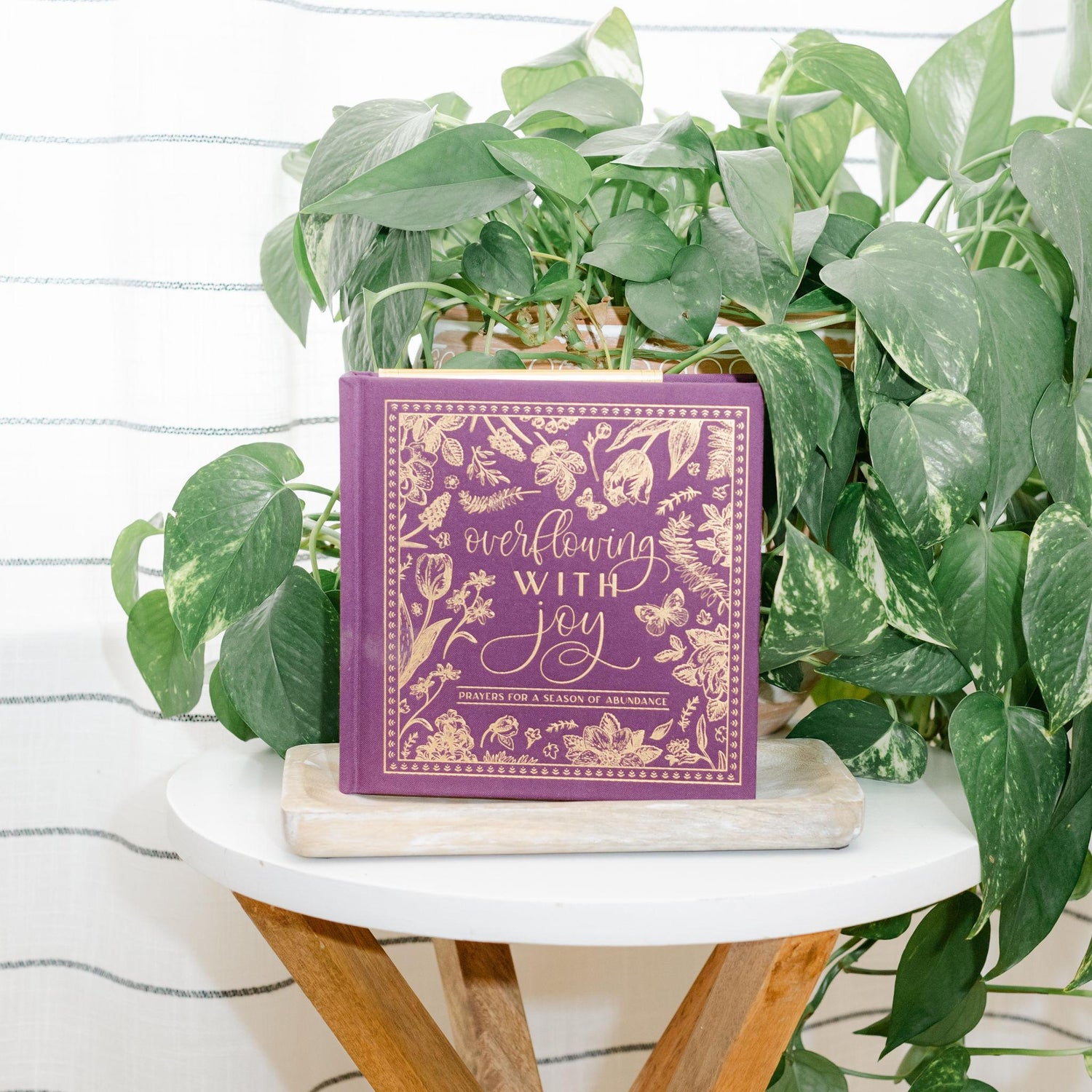 Purple book titled &