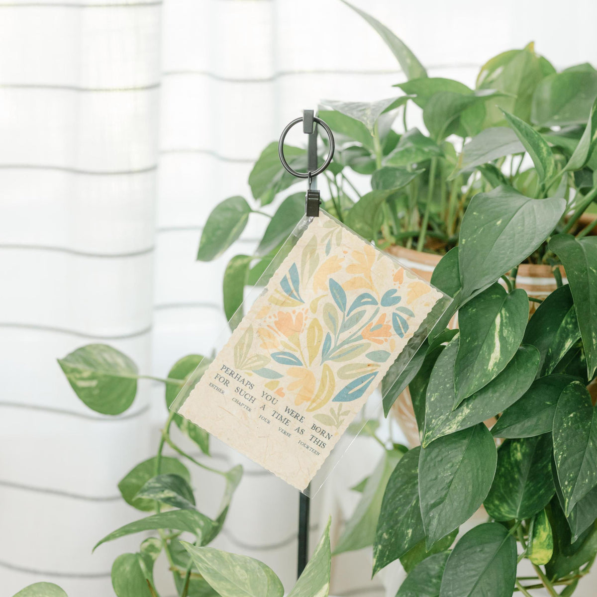 Mini Hanging Print