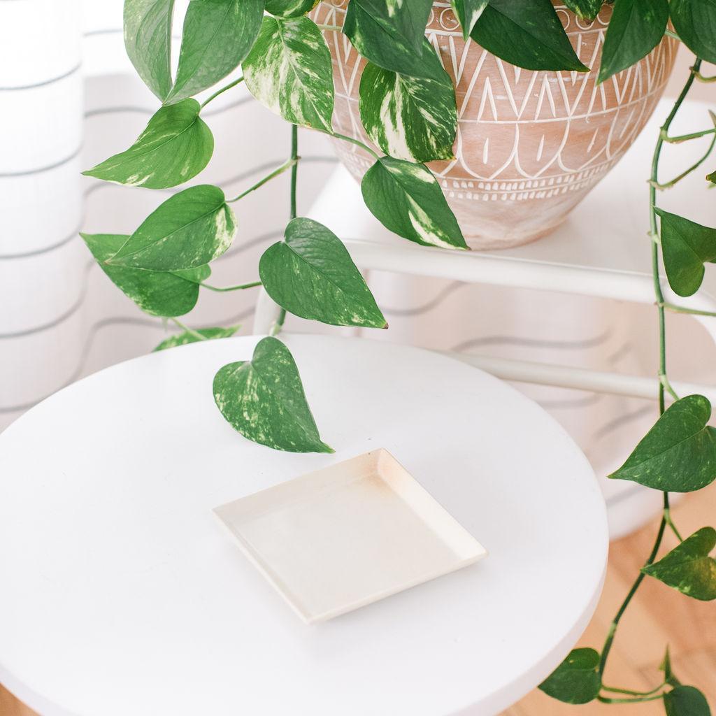 Natural Square Tray