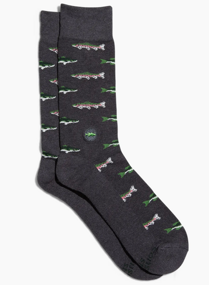 Protect National Parks Socks