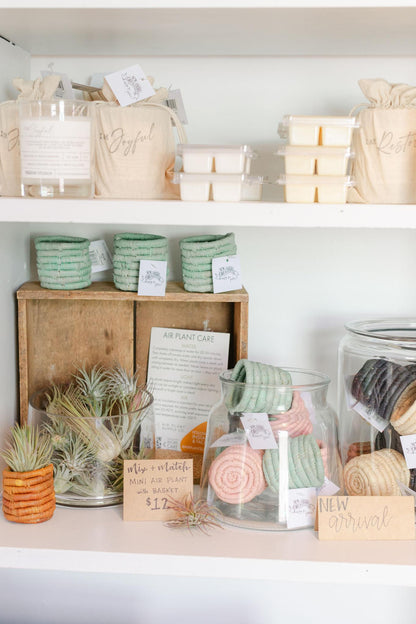 Mini Air Plant Basket