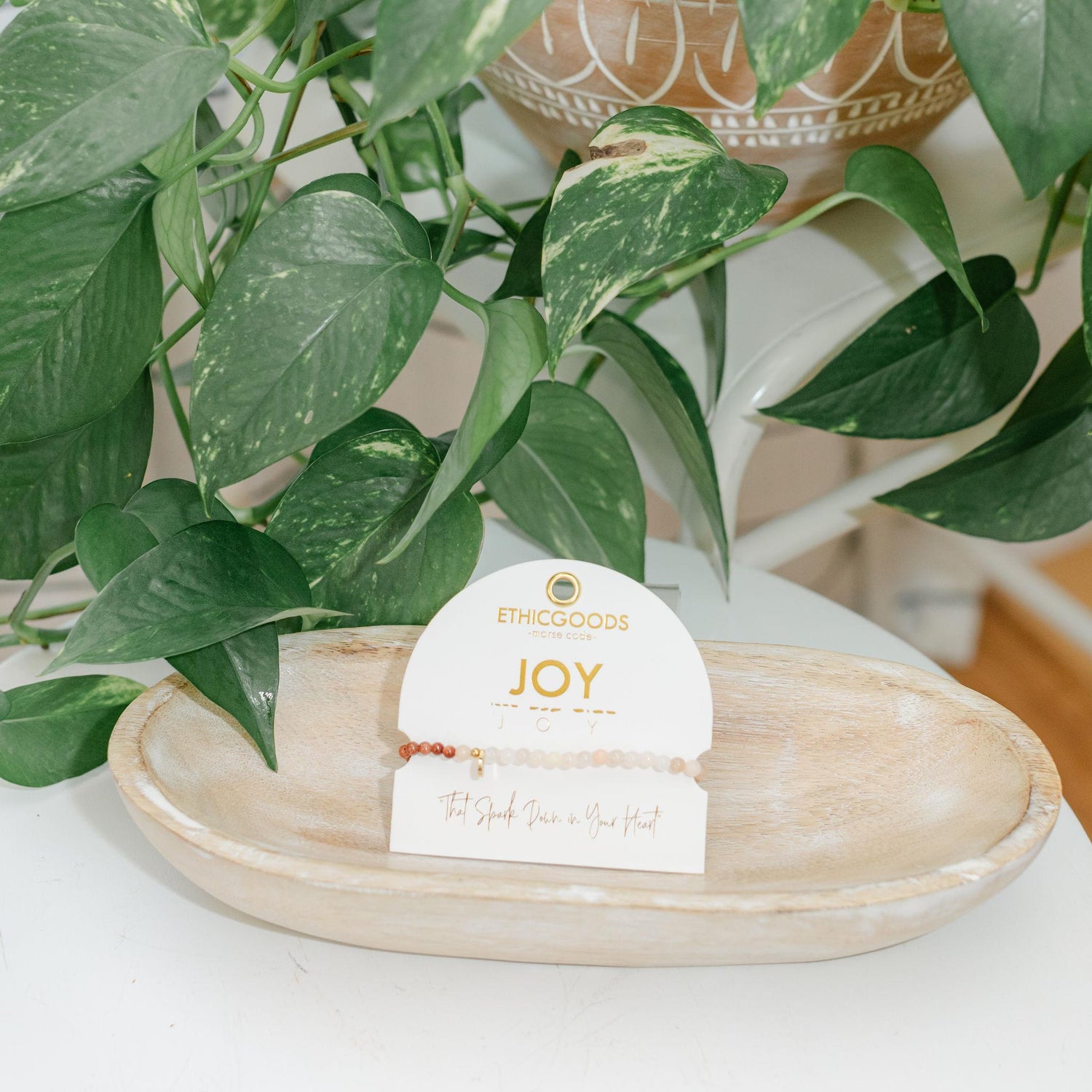 Potted plant on a white surface with an &