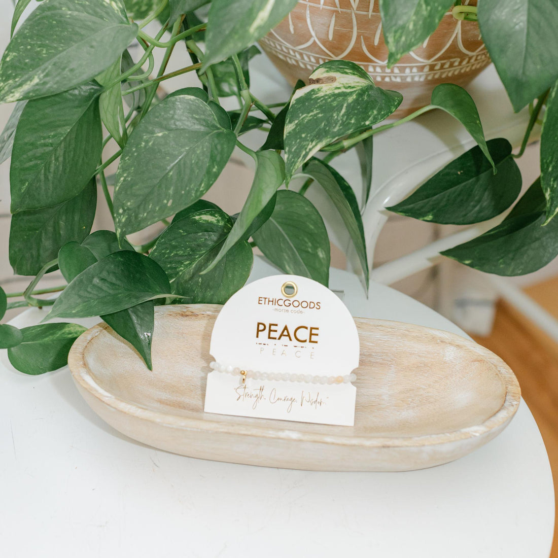 Potted plant with a &