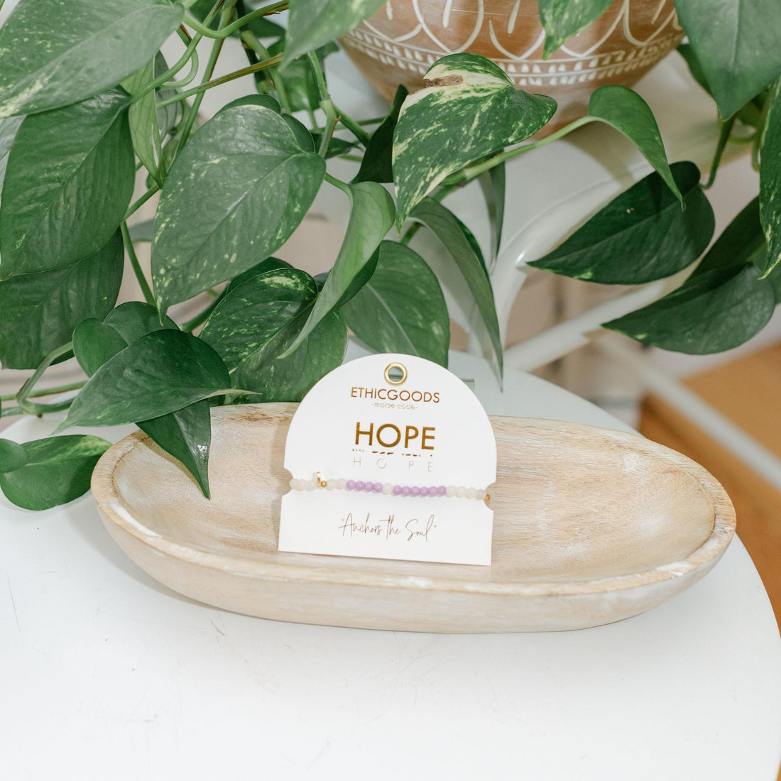 Potted plant on a white surface with an &
